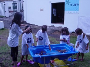 Carla Gomes Salvar Tartarugas Marinhas